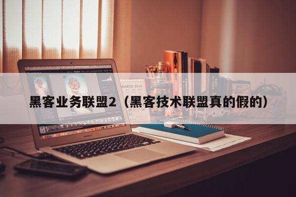 黑客业务联盟2（黑客技术联盟真的假的）