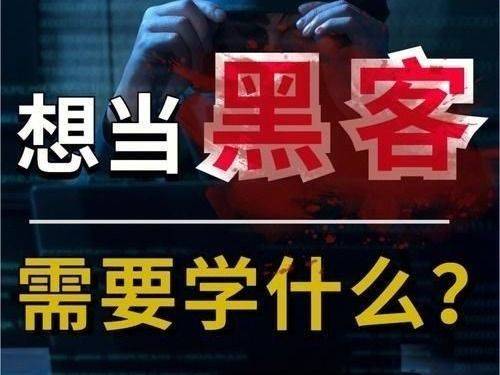 黑客业务论坛官网入口网址(黑客技术的论坛)