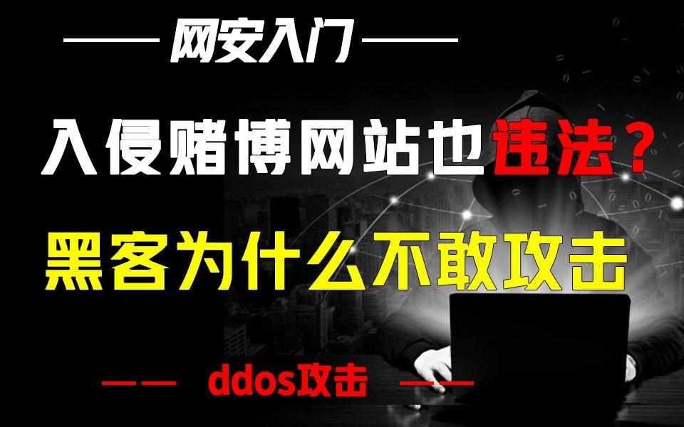 黑客业务论坛官网入口网址(黑客技术的论坛)