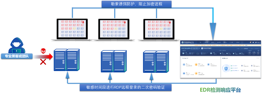 黑客vs专业团队视频教程(黑客vs专业团队视频教程全集)